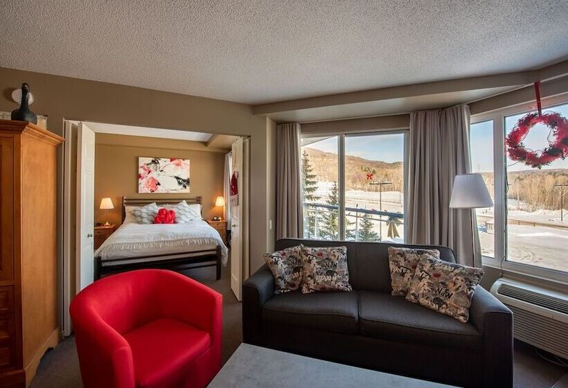 آپارتمان سوپریور 1 خوابه, Hebergement Montsteanne Condos