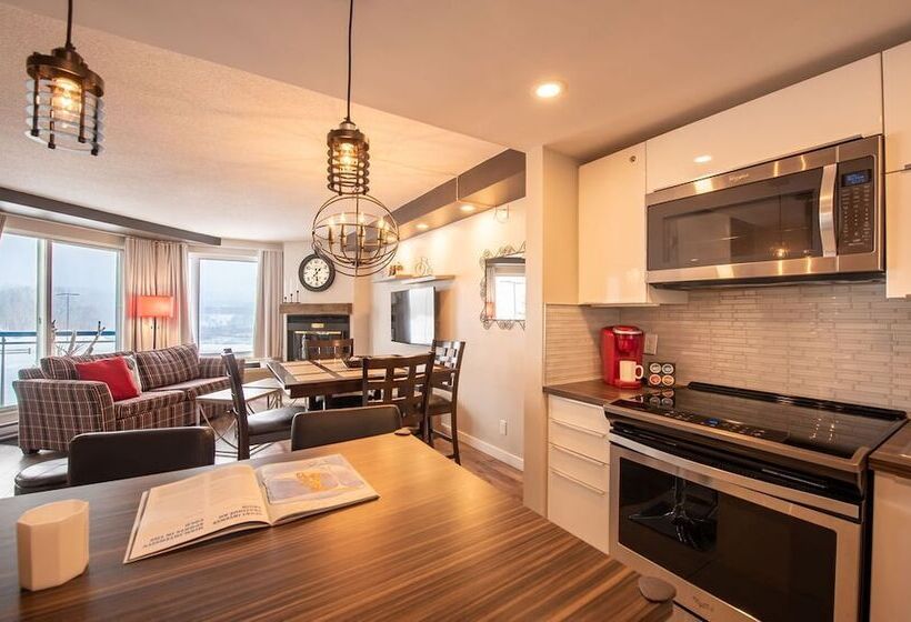 آپارتمان سوپریور 1 خوابه, Hebergement Montsteanne Condos