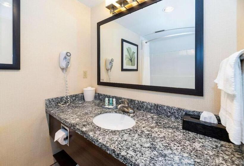 اتاق استاندارد با تخت بزرگ, Prestige Riverside Lodge Quesnel