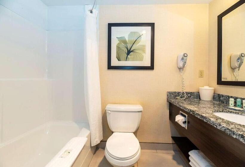 اتاق استاندارد با تخت بزرگ, Prestige Riverside Lodge Quesnel