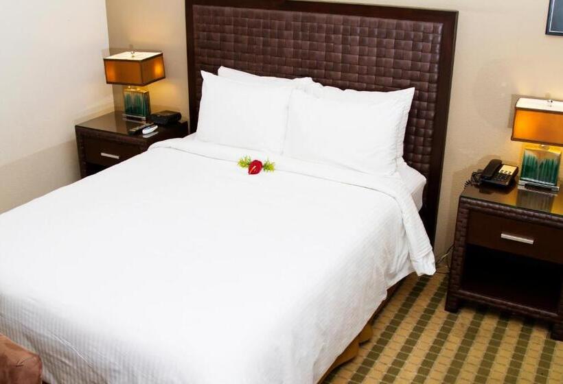 اتاق استاندارد با تخت بزرگ, Rincon Del Valle Hotel & Suites