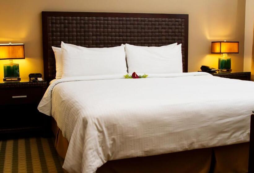 اتاق استاندارد با تخت بزرگ, Rincon Del Valle Hotel & Suites
