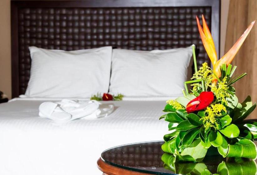 سوئیت با تخت بزرگ, Rincon Del Valle Hotel & Suites