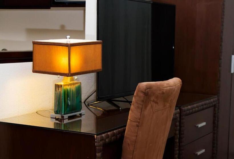 سوئیت با تخت بزرگ, Rincon Del Valle Hotel & Suites
