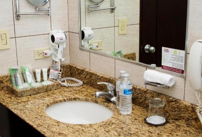 سوئیت با تخت بزرگ, Rincon Del Valle Hotel & Suites