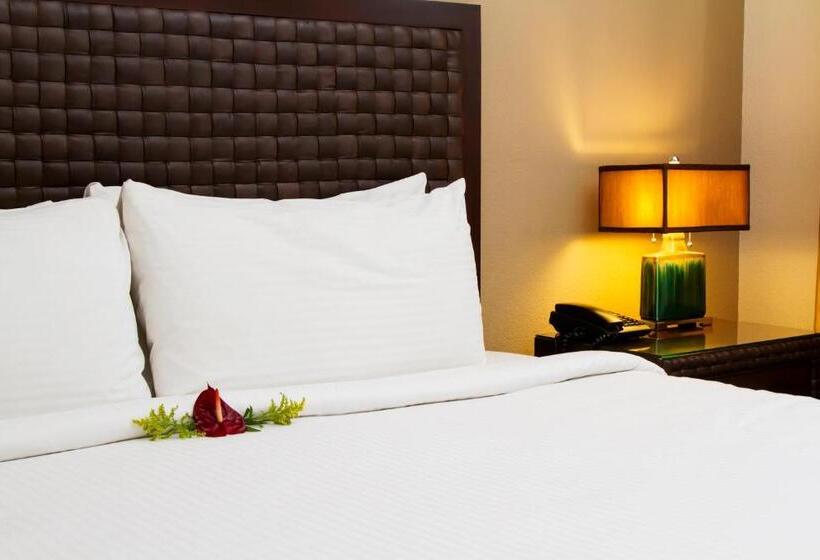 اتاق استاندارد, Rincon Del Valle Hotel & Suites