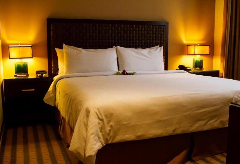 اتاق استاندارد, Rincon Del Valle Hotel & Suites