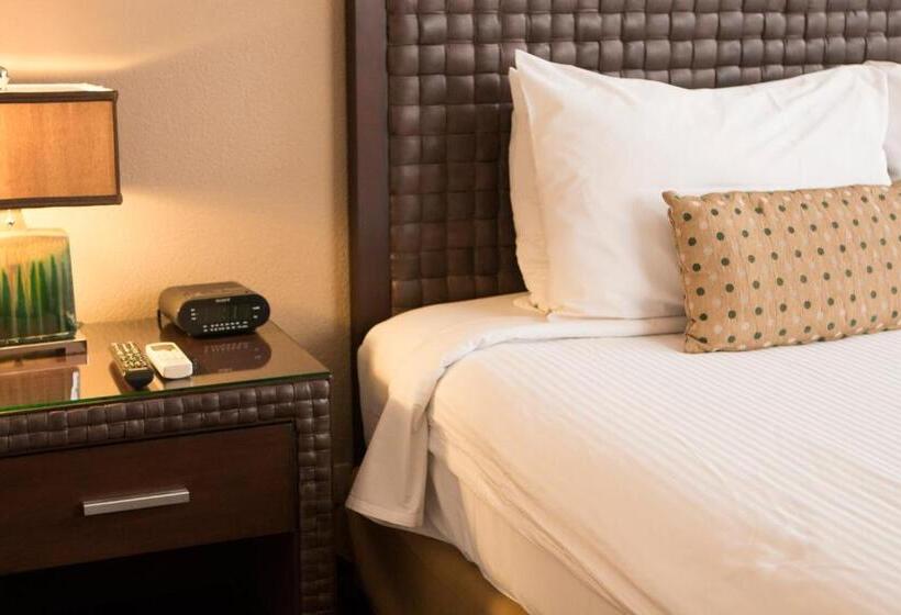 اتاق استاندارد, Rincon Del Valle Hotel & Suites