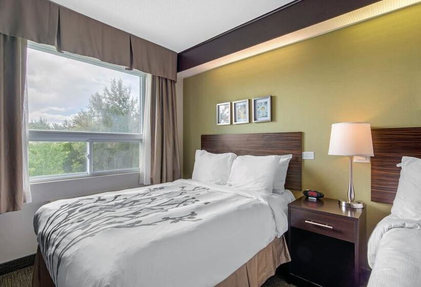 اتاق استاندارد با 2 تخت دوبل, Sleep Inn