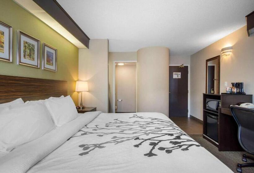 اتاق کلاسیک با تخت دونفره, Sleep Inn