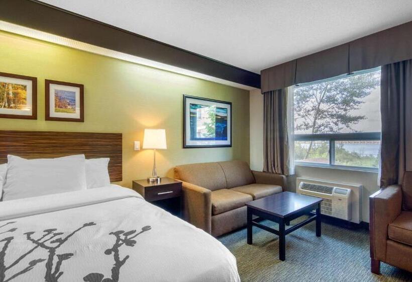 اتاق سوپریور با تخت بزرگ, Sleep Inn