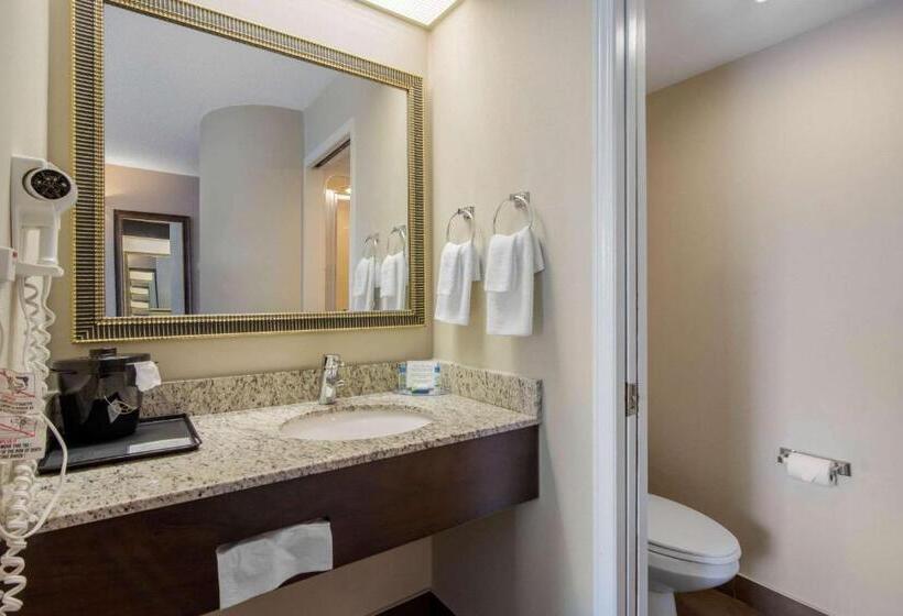 اتاق سوپریور با تخت بزرگ, Sleep Inn