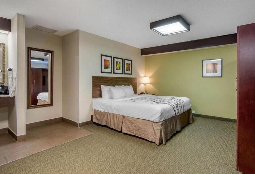 سوئیت با تخت بزرگ, Sleep Inn