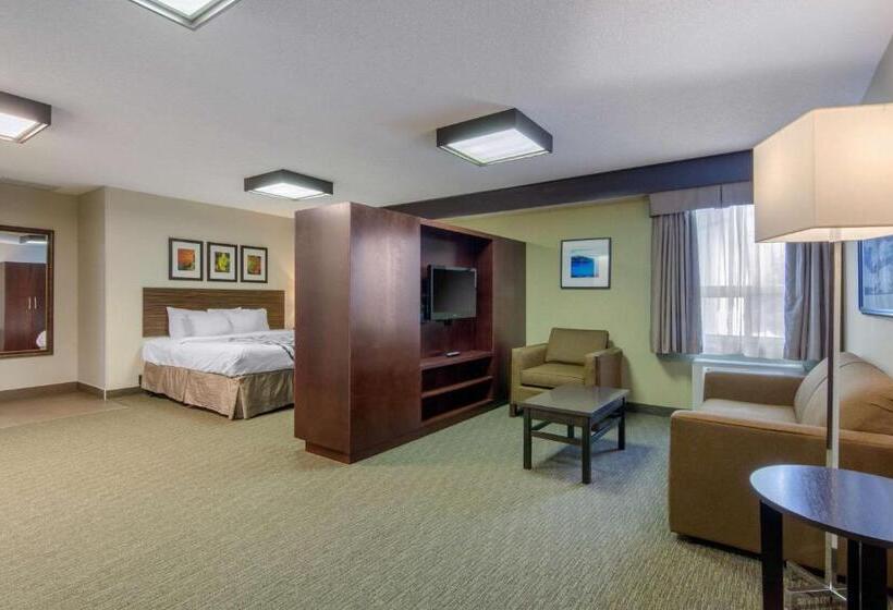 سوئیت با تخت بزرگ, Sleep Inn