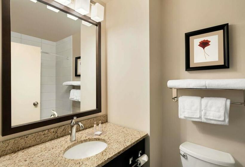 اتاق کلاس بیزنس, Travelodge Hotel By Wyndham Weyburn