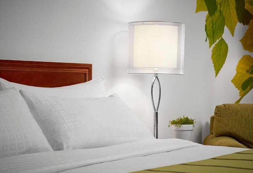 اتاق استاندارد با تخت بزرگ, Varscona Hotel On Whyte