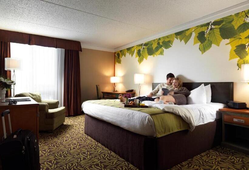 اتاق استاندارد با تخت بزرگ, Varscona Hotel On Whyte