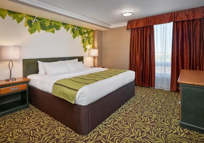 اتاق استاندارد با تخت بزرگ, Varscona Hotel On Whyte