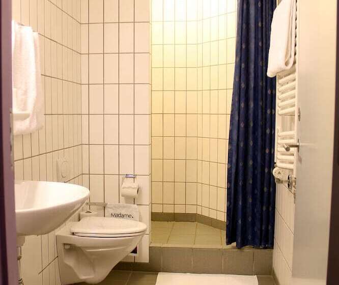 اتاق استاندارد یک نفره, Herning City