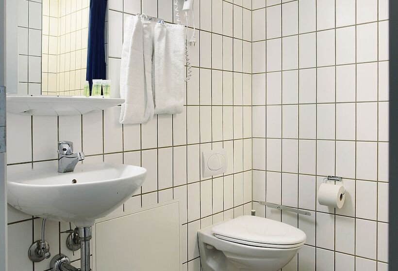 اتاق استاندارد با چشم‌انداز شهر, Herning City