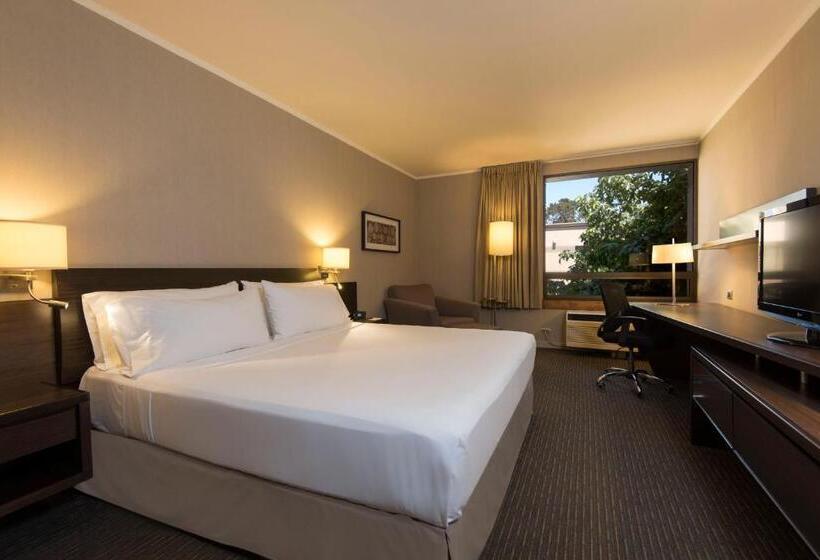 Standard Room King Size Bed, Holiday Inn Express Temuco