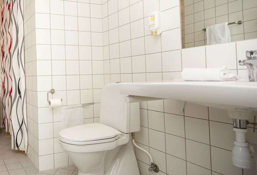اتاق استاندارد با چشم‌انداز دریاچه, Milling Hotel Søpark