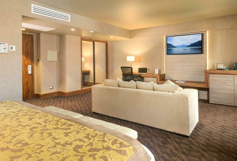 غرفة ديلوكس سرير كينج, Regal Pacific Santiago