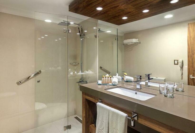 اتاق لوکس با تخت بزرگ, Regal Pacific Santiago