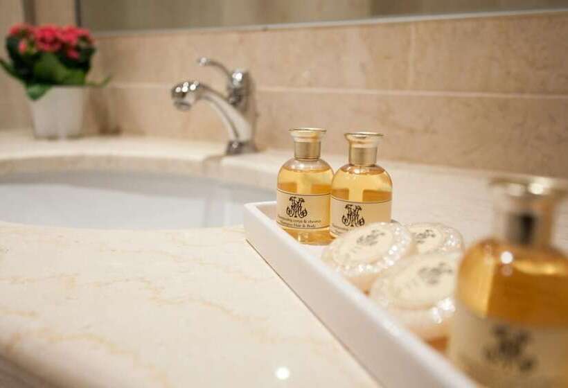 اتاق سوپریور برای معلولان, Grand Hôtel Moderne