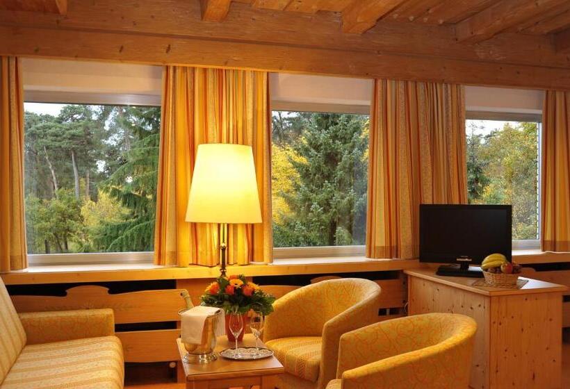 Junior Suite, Gronauer Tannenhof