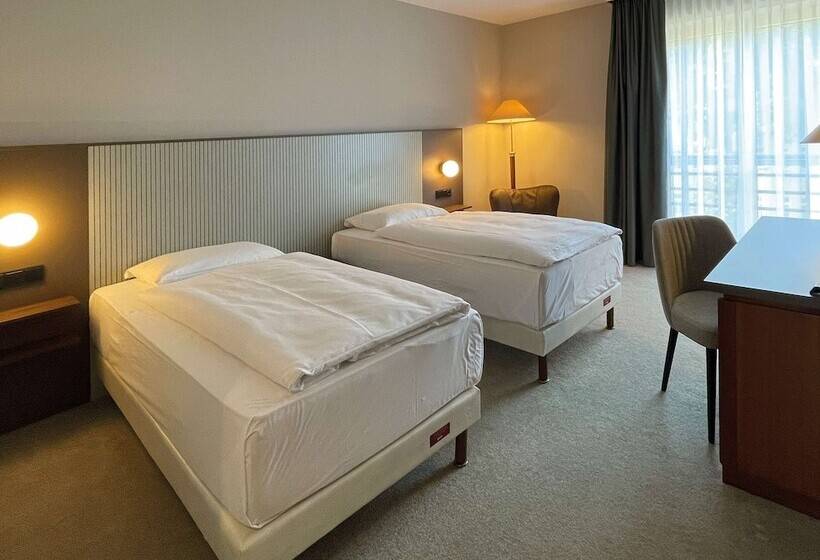 Standard Room, Mercure  Gera City