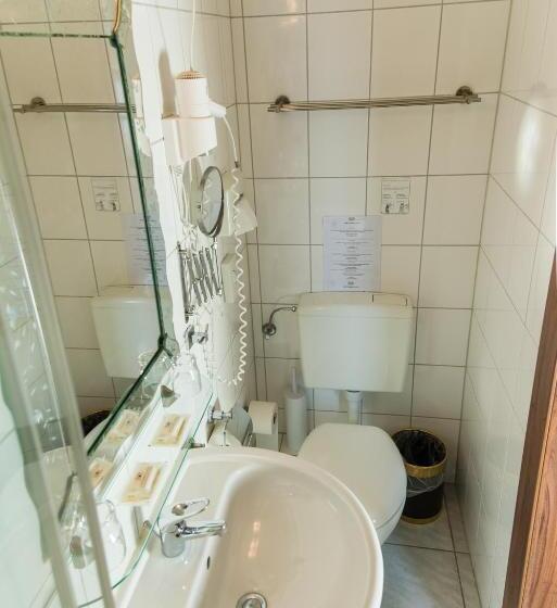 اتاق استاندارد با چشمانداز دریاچه, Und Restaurant Lowenbrau Koln