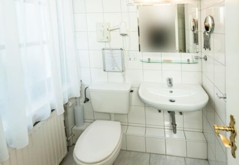 اتاق استاندارد یک نفره, Und Restaurant Lowenbrau Koln