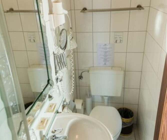 اتاق استاندارد, Und Restaurant Lowenbrau Koln