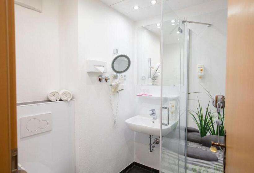اتاق استاندارد یک نفره, Akzent Hotel Alpenrose