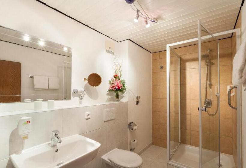 اتاق استاندارد, Akzent Hotel Alpenrose