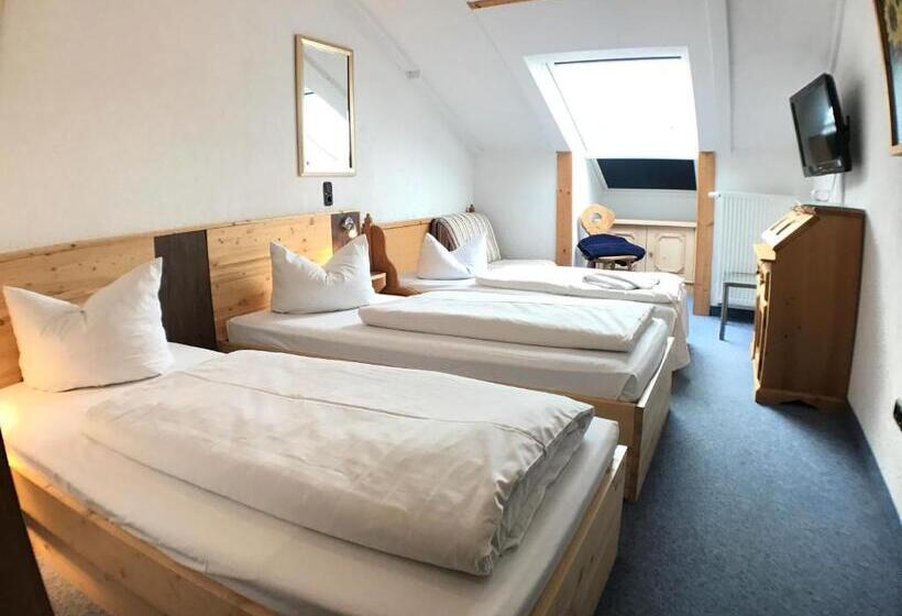 اتاق اکونومی یک تخته, Akzent Hotel Alpenrose