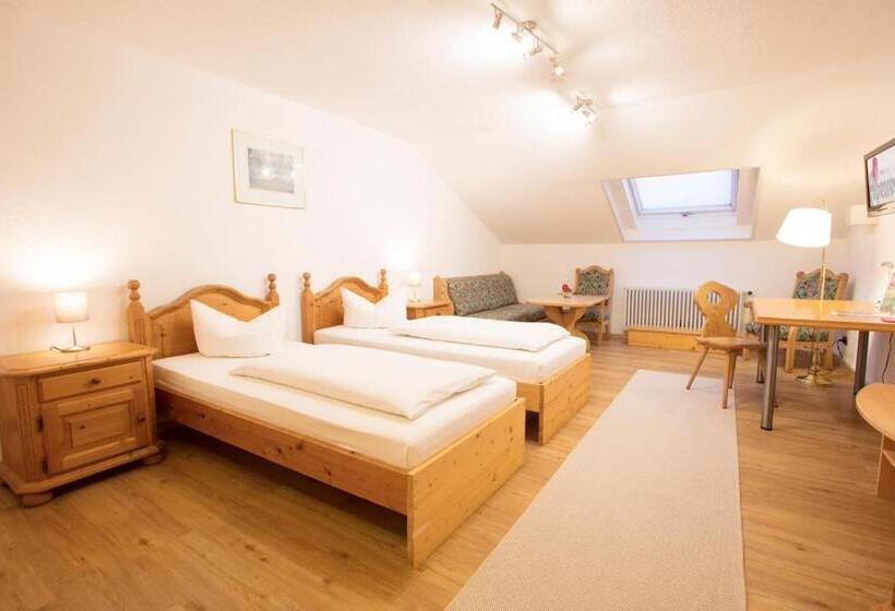 اتاق اکونومی یک تخته, Akzent Hotel Alpenrose