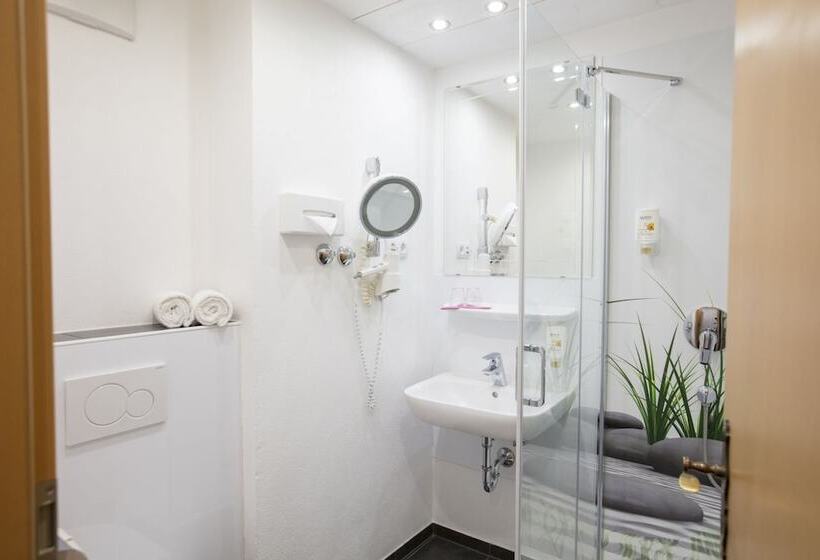 اتاق استاندارد یک نفره, Akzent Hotel Alpenrose