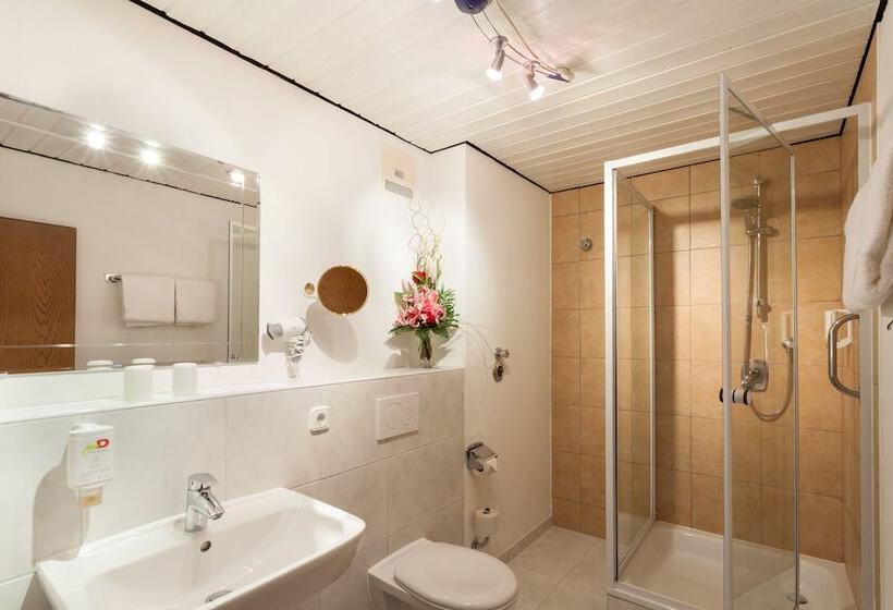 اتاق استاندارد, Akzent Hotel Alpenrose