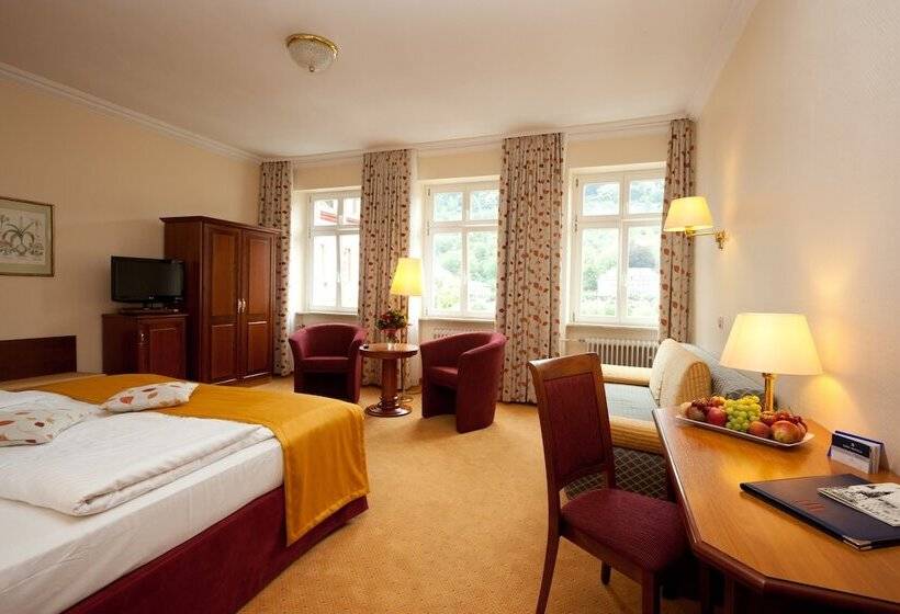 수피리어 룸, City Partner Hotel Holländer Hof