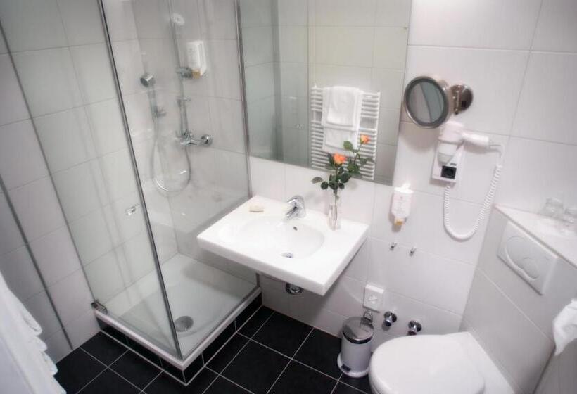 اتاق سوپریور یک تخته, Top Hotel Krämer