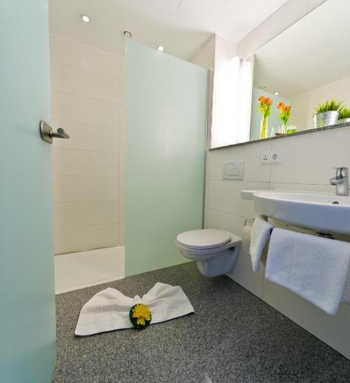 חדר סופריור, Wohlfühl Hotel Neu Heidelberg