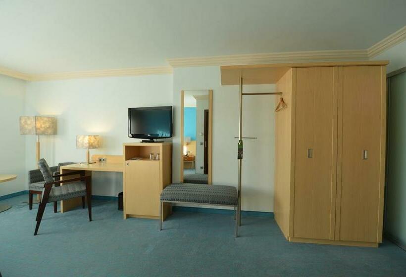 اتاق سوپریور, Prinzhotel Rothenburg