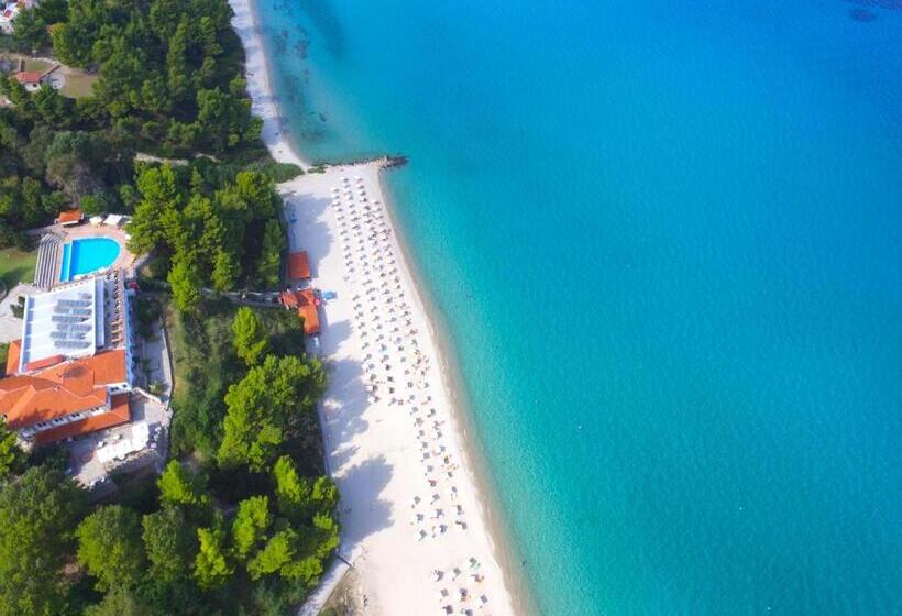 اتاق استاندارد با چشم‌انداز باغ, Alexander The Great Beach