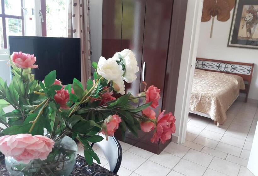 سوییت جونیور با چشم‌انداز استخر, Harmony Hotel Hostel