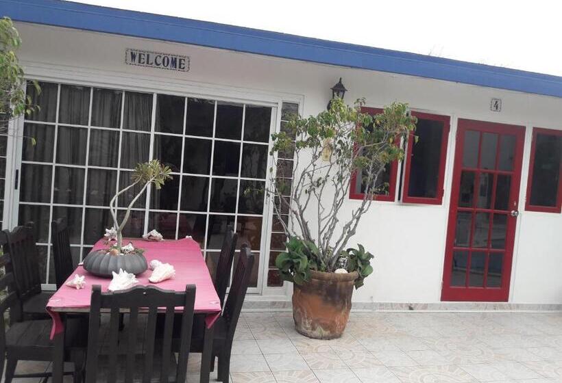 سوییت جونیور با چشم‌انداز استخر, Harmony Hotel Hostel