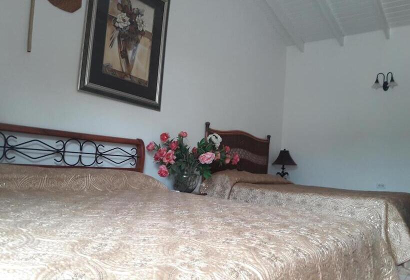 سوییت جونیور با چشم‌انداز استخر, Harmony Hotel Hostel