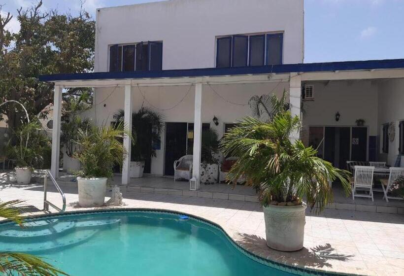 استودیو استاندارد با چشم‌انداز باغ, Harmony Hotel Hostel