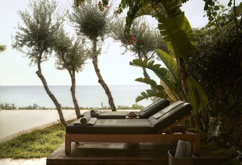 اتاق سوپریور, F Zeen Kefalonia